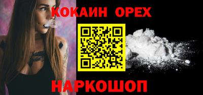 крисы Кулебаки