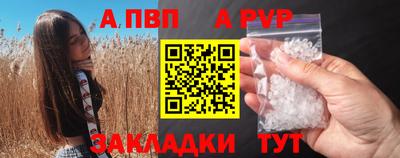 крисы Кулебаки