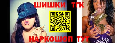 крисы Кулебаки
