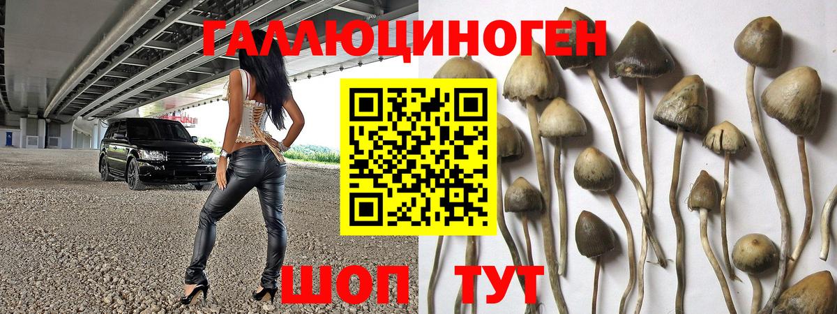Псилоцибиновые грибы MAGIC MUSHROOMS  Вход с VPN  Каменск-Шахтинский 