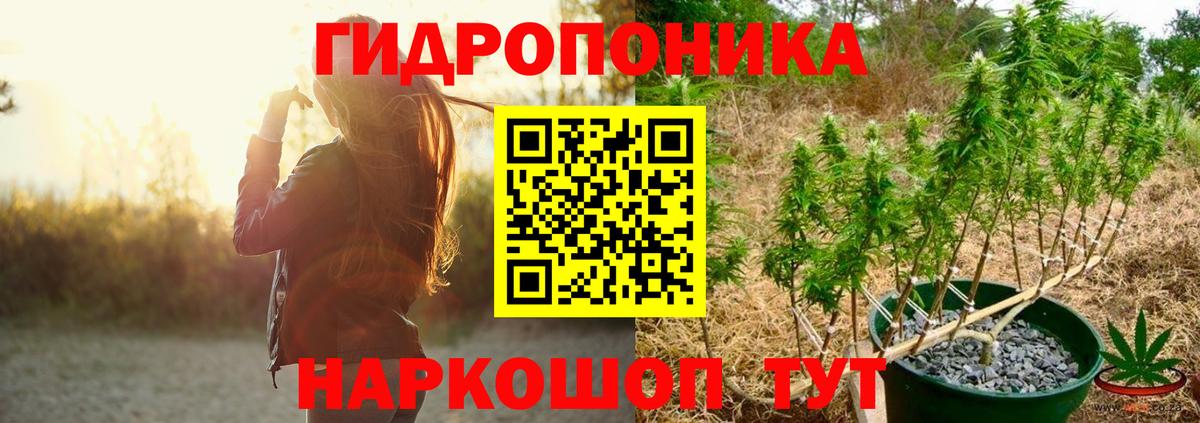 Конопля OG Kush  Бошки марихуана OG Kush  Каменск-Шахтинский  Вход с VPN  Шишки марихуана индика 